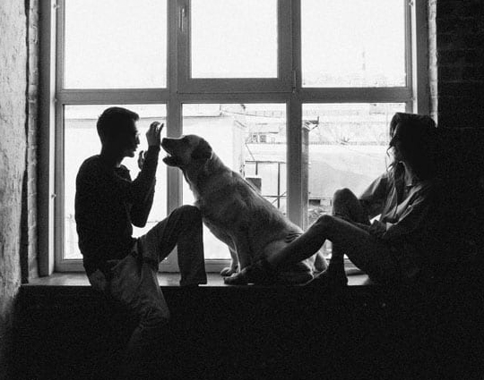 founders-free-img Founders Free Img 1